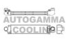 AUTOGAMMA 107105 Intercooler, charger